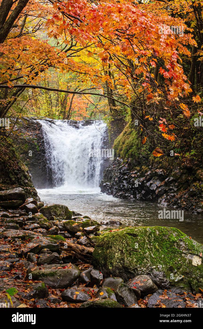 Chutes de Tometaki en automne, parc national de Towada-Hachimantai, préfecture d'Akita, Japon Banque D'Images