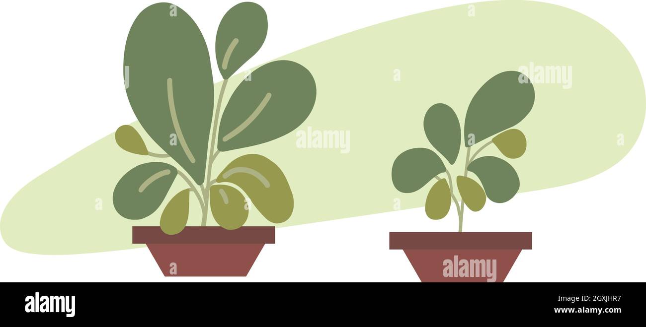 Plantes en pot vertes. Plantes abstraites vertes d'intérieur moderne motif vectoriel de couleur plate. la 2d plante des feuilles simples. Petites plantes. Illustration de Vecteur
