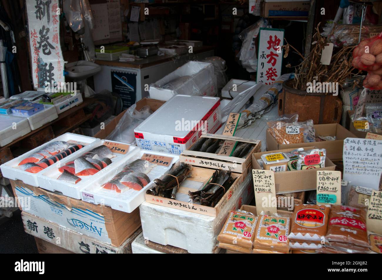Saumon congelé à vendre à l'ancien marché aux poissons de Tsukiji, Tokyo, Japon Banque D'Images