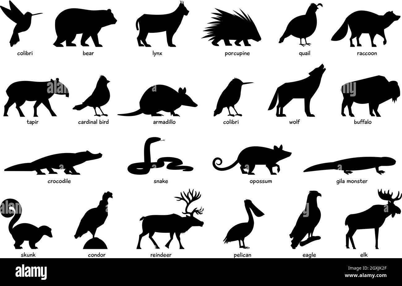 Grand ensemble d'animaux d'Amérique du Nord Illustration de Vecteur