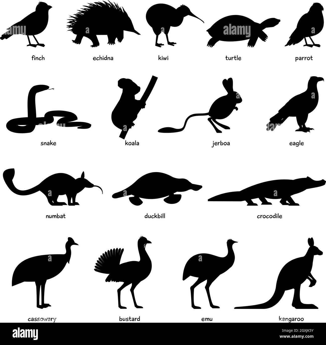 Collection d'animaux et de silhouettes d'oiseaux australiens Illustration de Vecteur