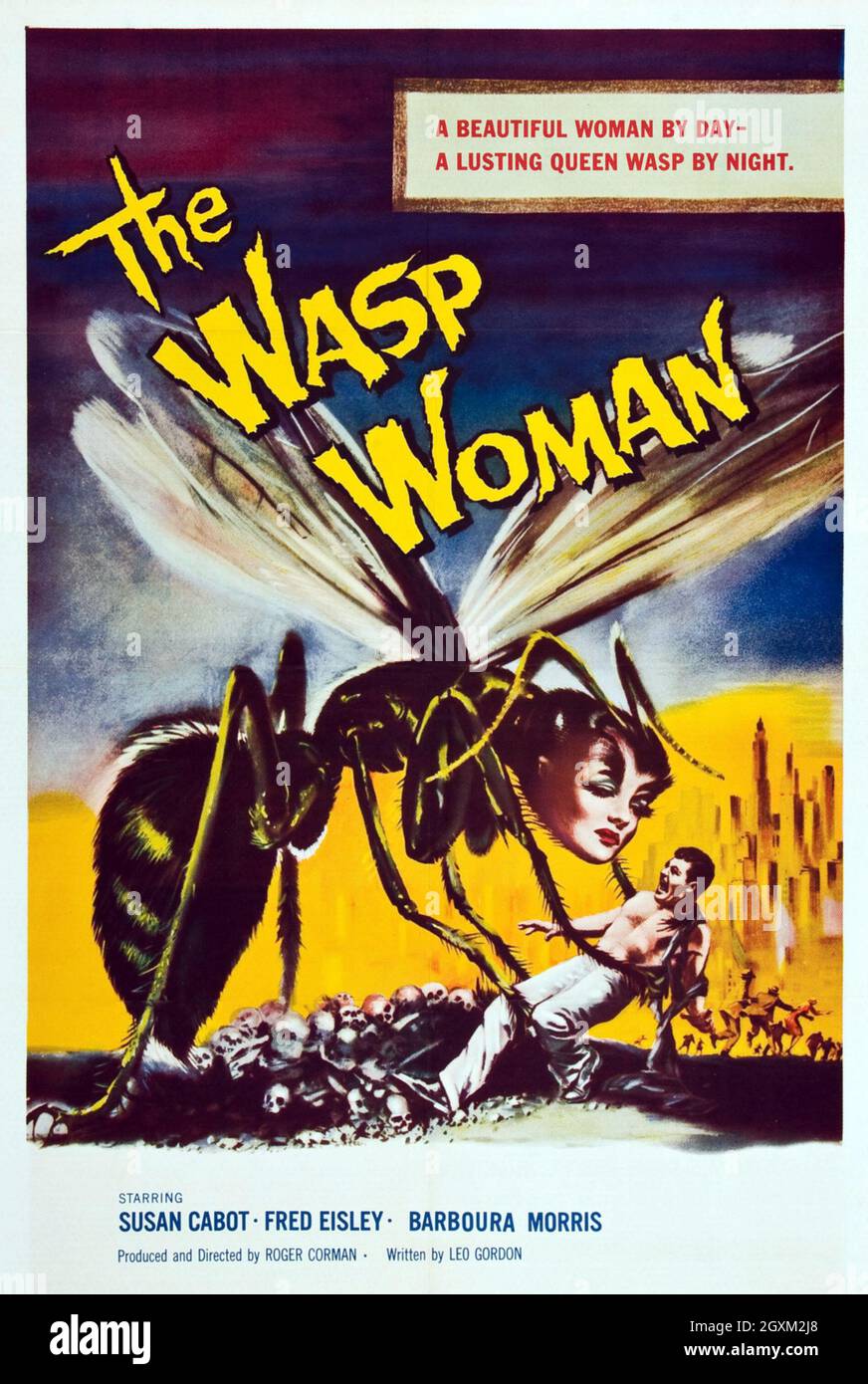 La Femme Wasp Banque D'Images