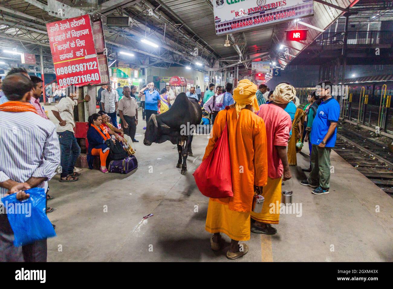 VARANASI, INDE - 25 OCTOBRE 2016 : vache et passagers à la gare de Varanasi Junction, Inde Banque D'Images