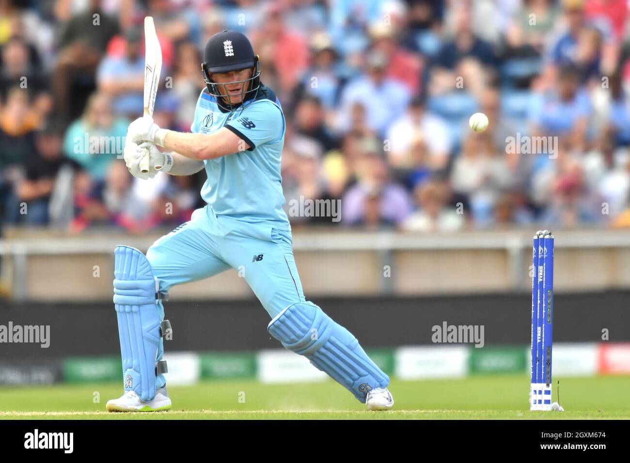 Eoin Morgan, l'Angleterre Banque D'Images