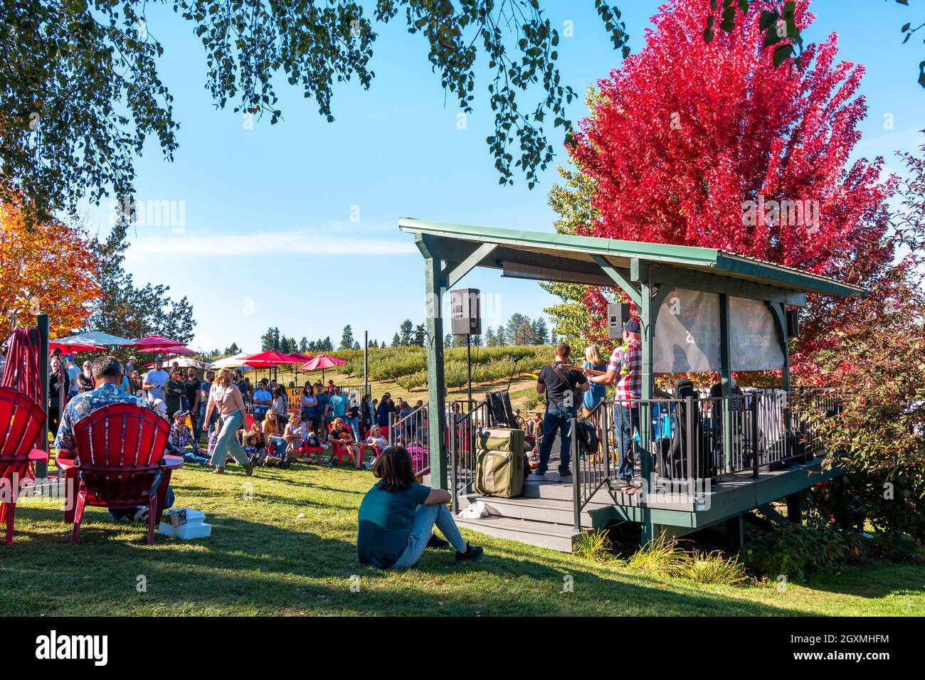 Les amateurs de festival apprécient un groupe de musiciens au festival annuel de récolte d'automne dans la communauté agricole rurale de Green Bluff, Washington, près de Spokane. Banque D'Images