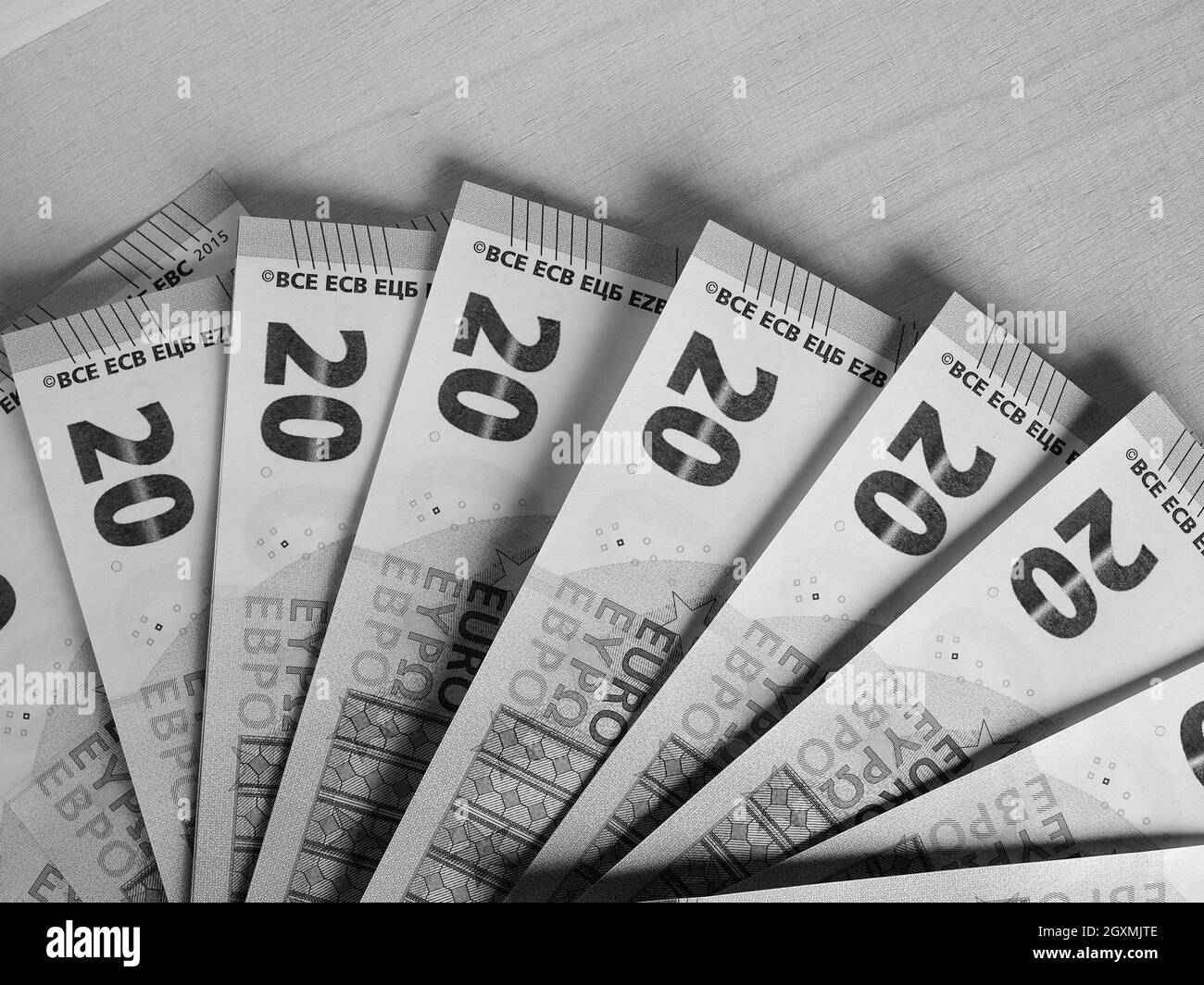 Billets et pièces en euros (EUR), monnaie de l'Union européenne en noir et blanc Banque D'Images