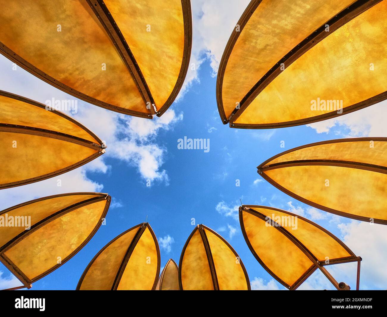 Abat-jour tropical sur ciel bleu Banque D'Images