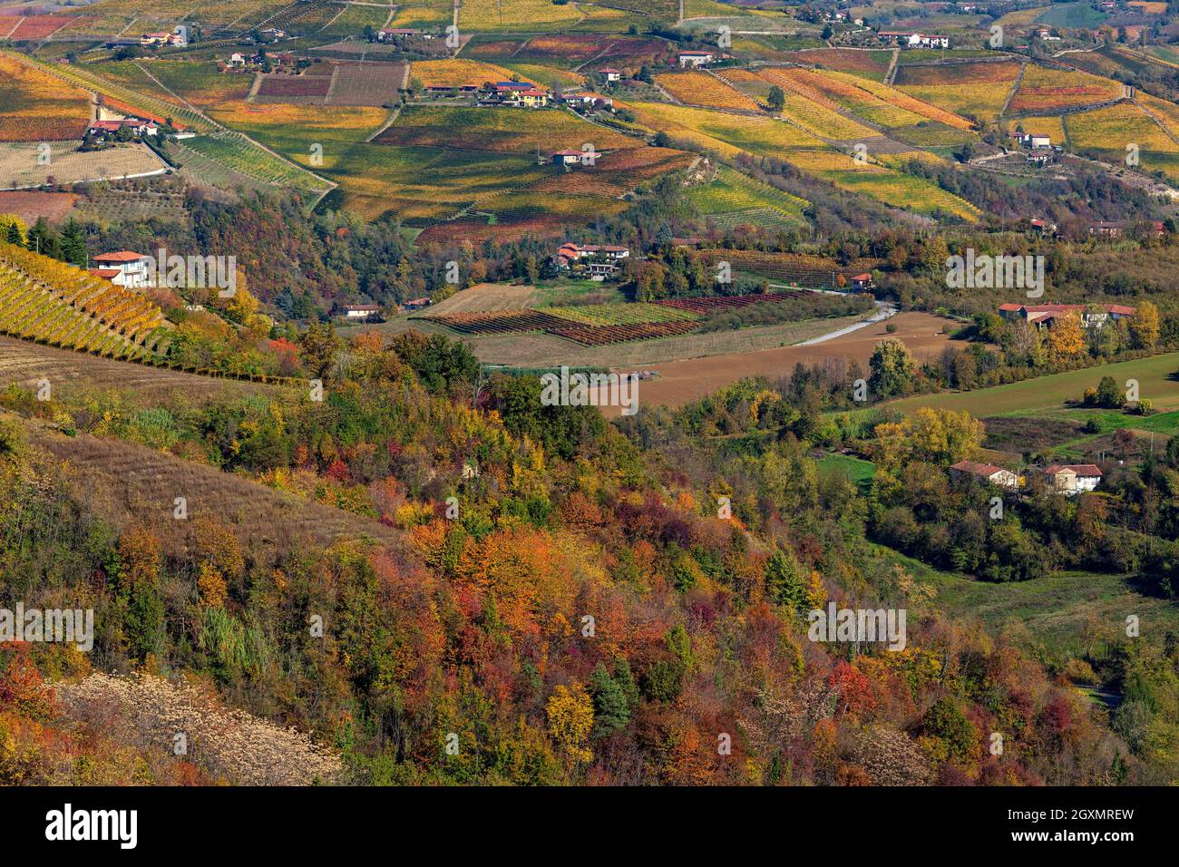 Vue d'en haut des arbres d'automne colorés et des collines avec vignobles dans le Piémont, dans le nord de l'Italie. Banque D'Images