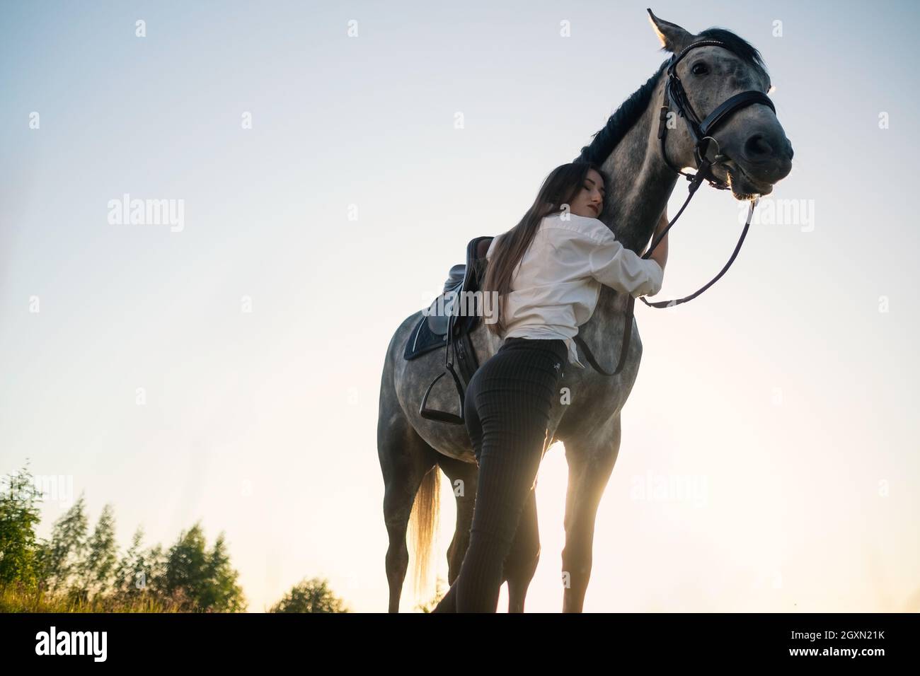 Jeune belle femme prenant soin de son cheval l'embrassant. Banque D'Images