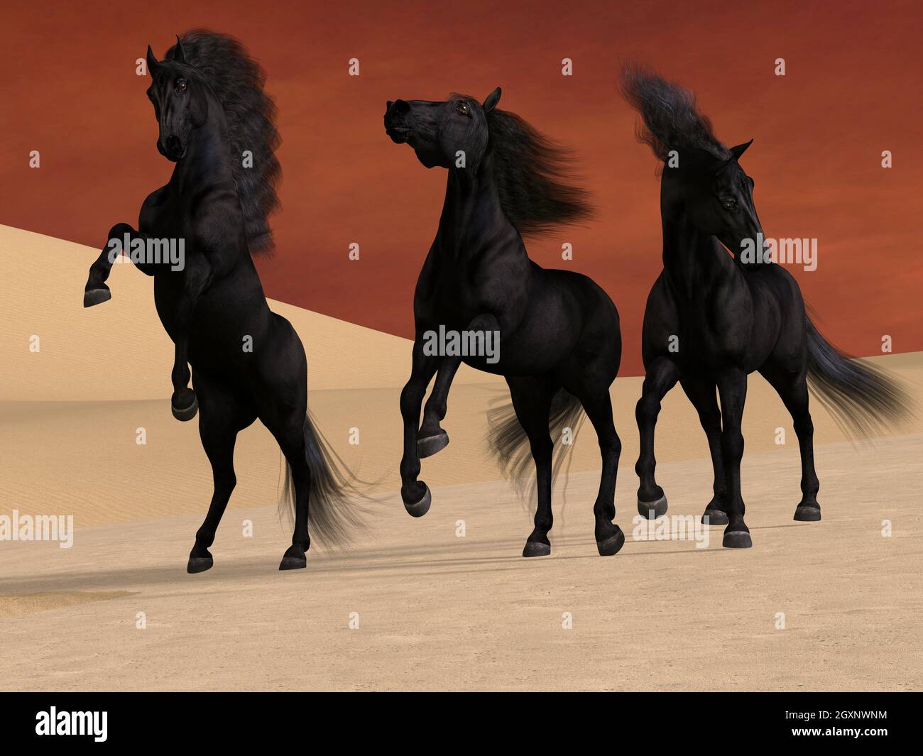 Trois chevaux noirs - trois étalons noirs de Frise restent ensemble dans un paysage désertique. Banque D'Images