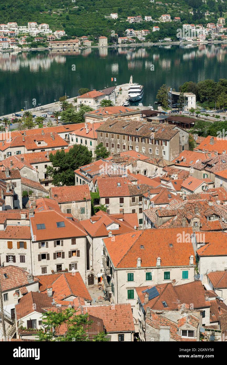 Vieille ville de Kotor, site classé au patrimoine mondial de l'UNESCO, Kotor, Monténégro Banque D'Images