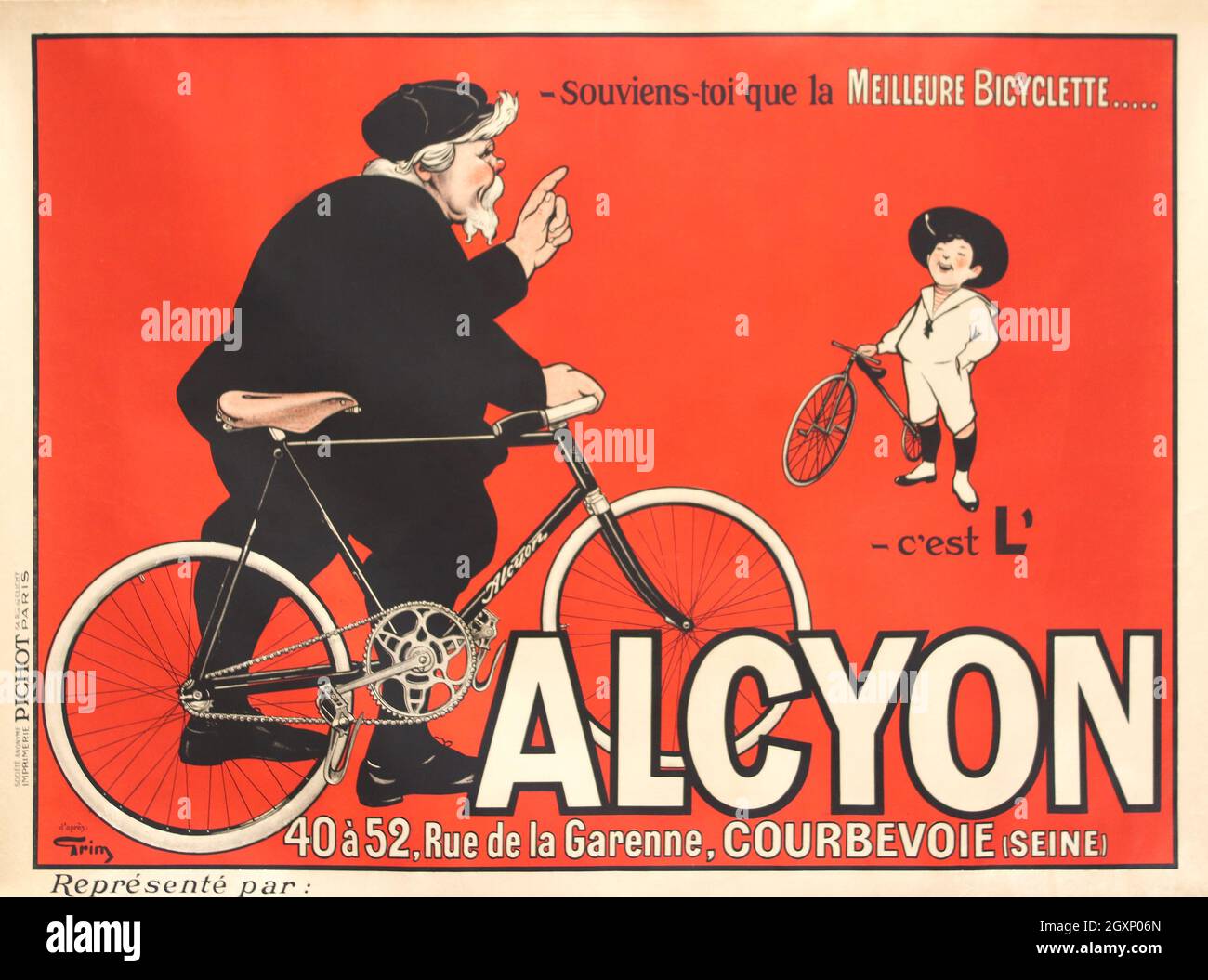 Alcyon Banque D'Images