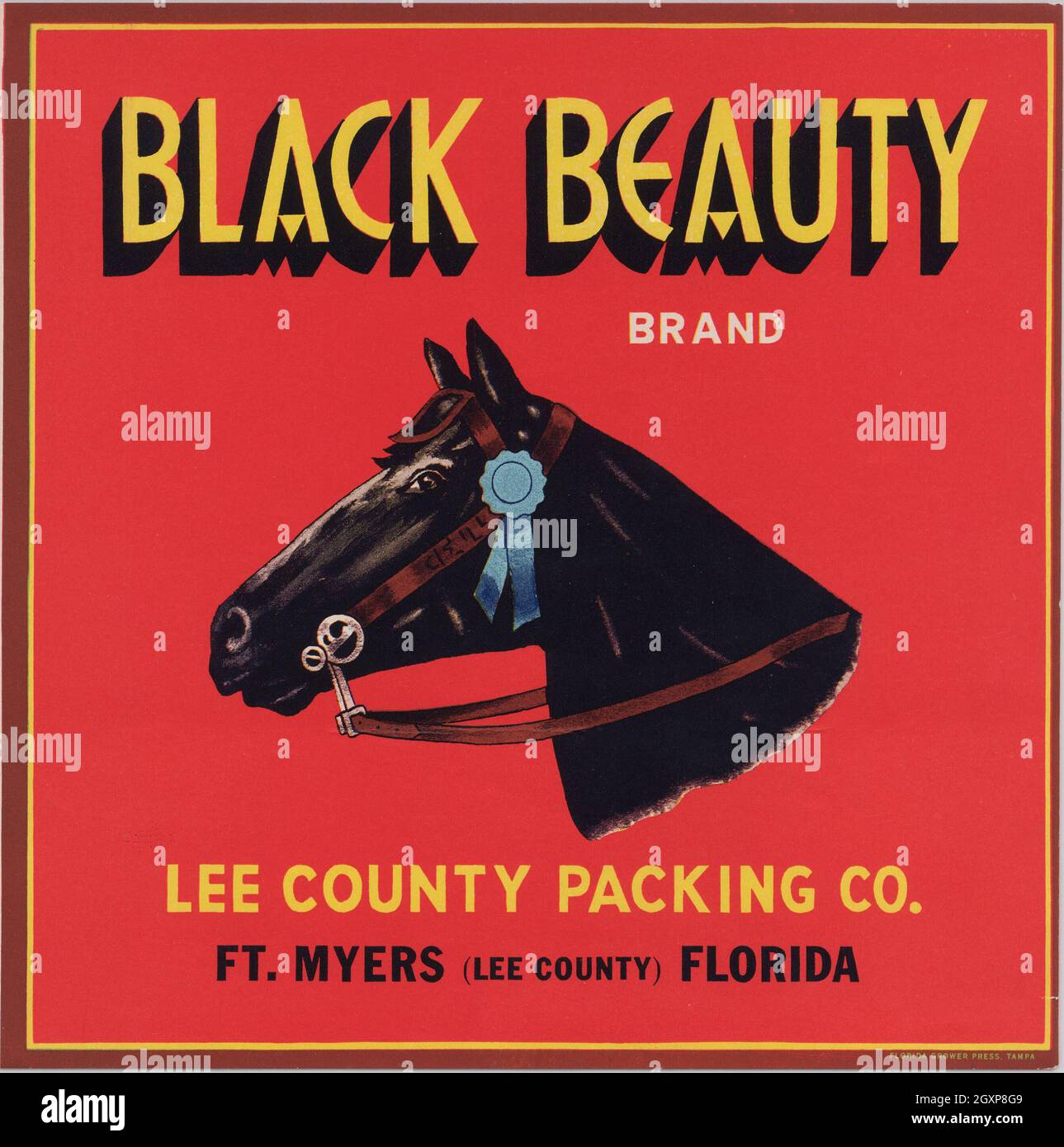 Marque de beauté noire Banque D'Images