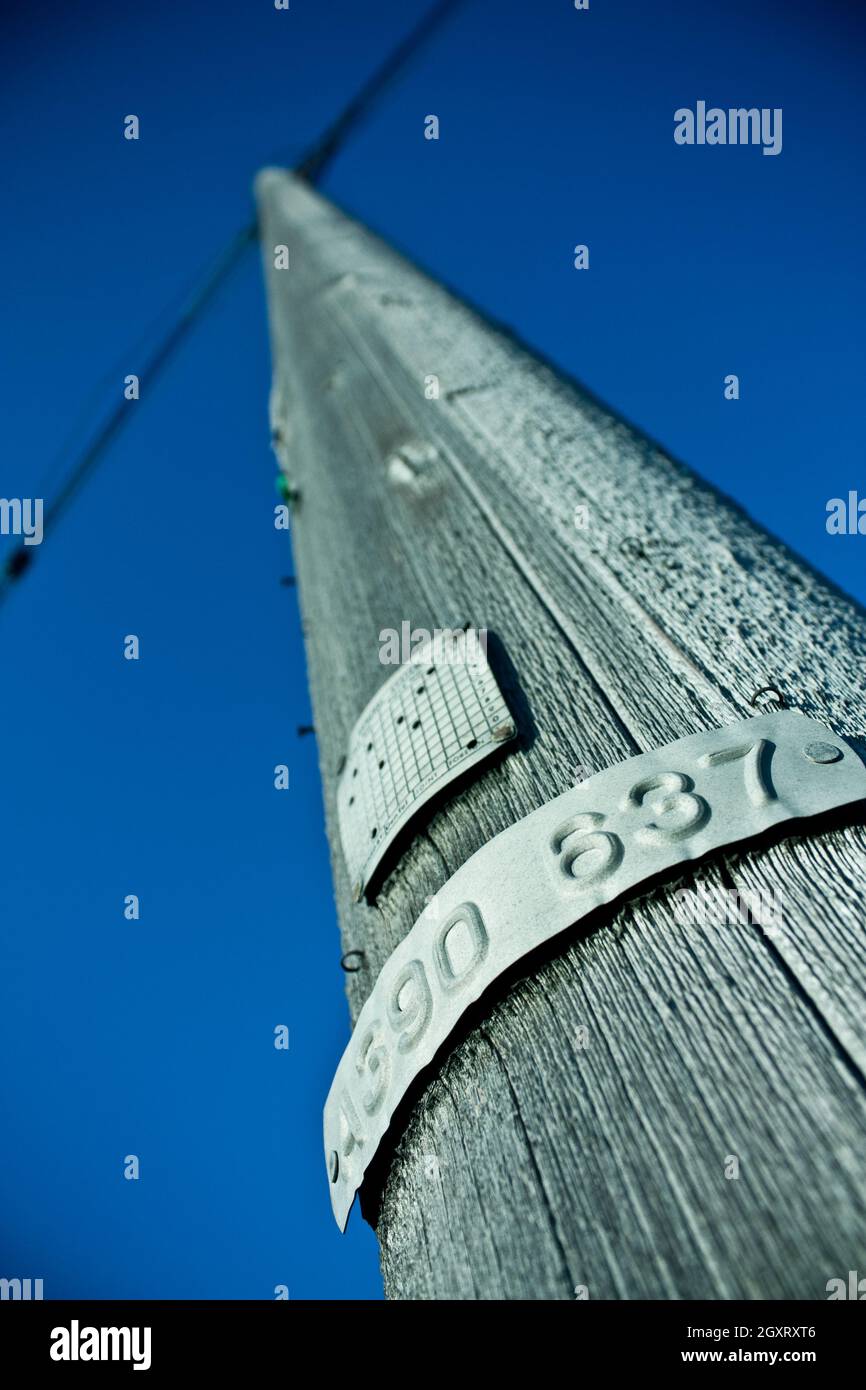 Poteau de téléphone en bois lisse avec plaques contre un ciel bleu Banque D'Images