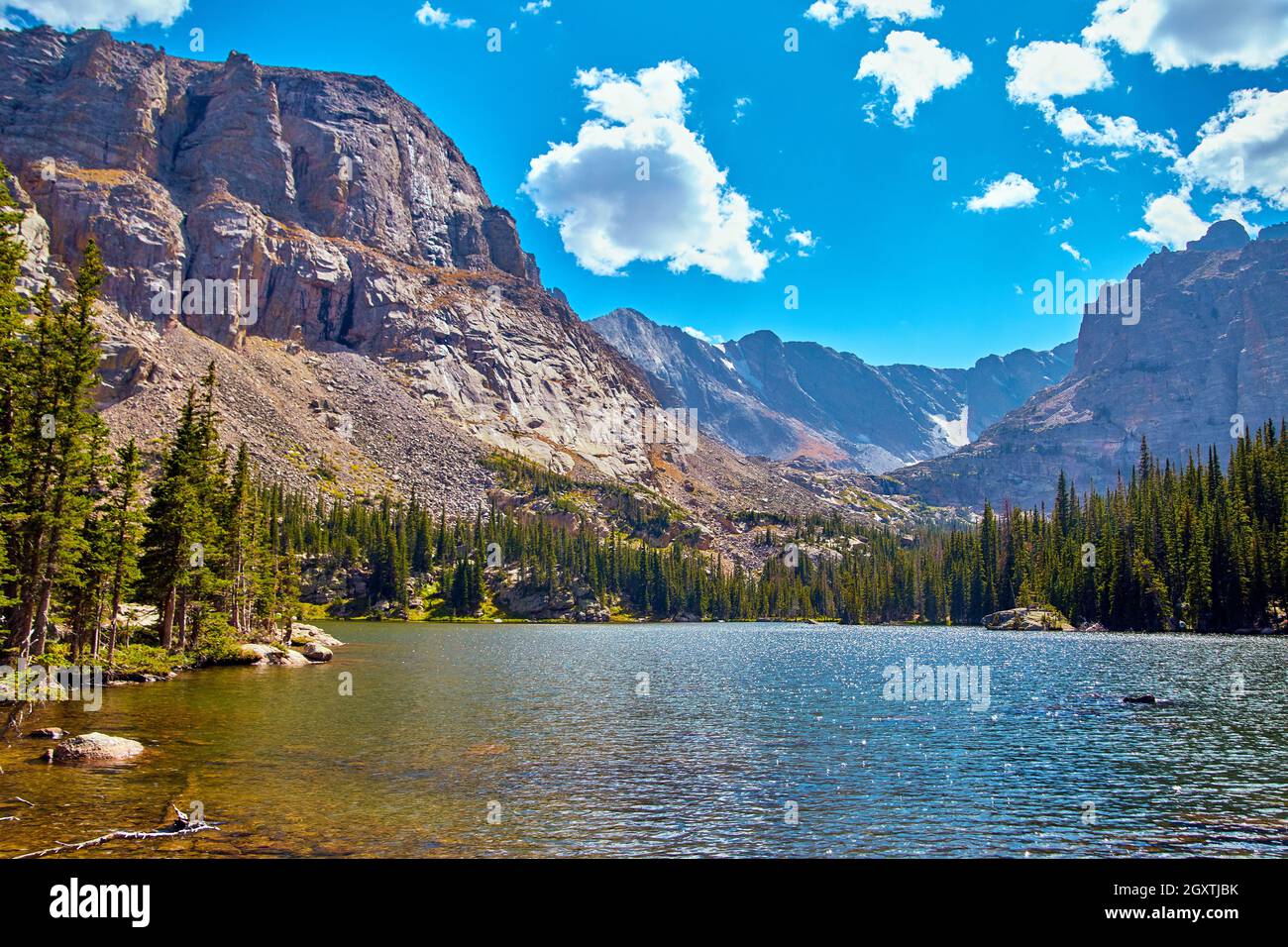 Grand lac à côté des montagnes avec des pins Banque D'Images