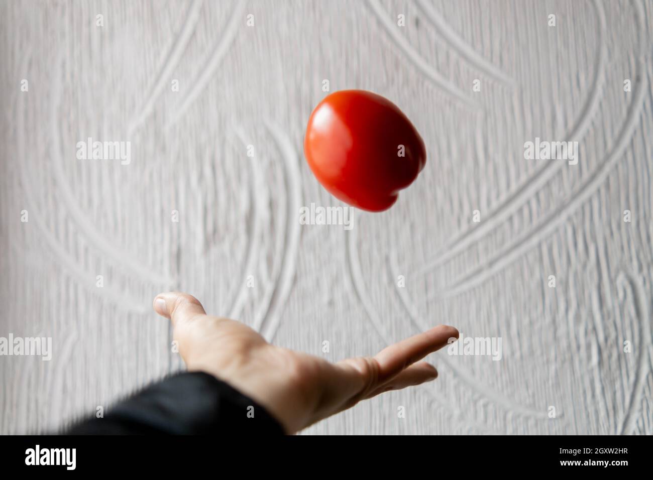 Lancer à la main de la tomate avec un mur blanc texturé comme arrière-plan Banque D'Images