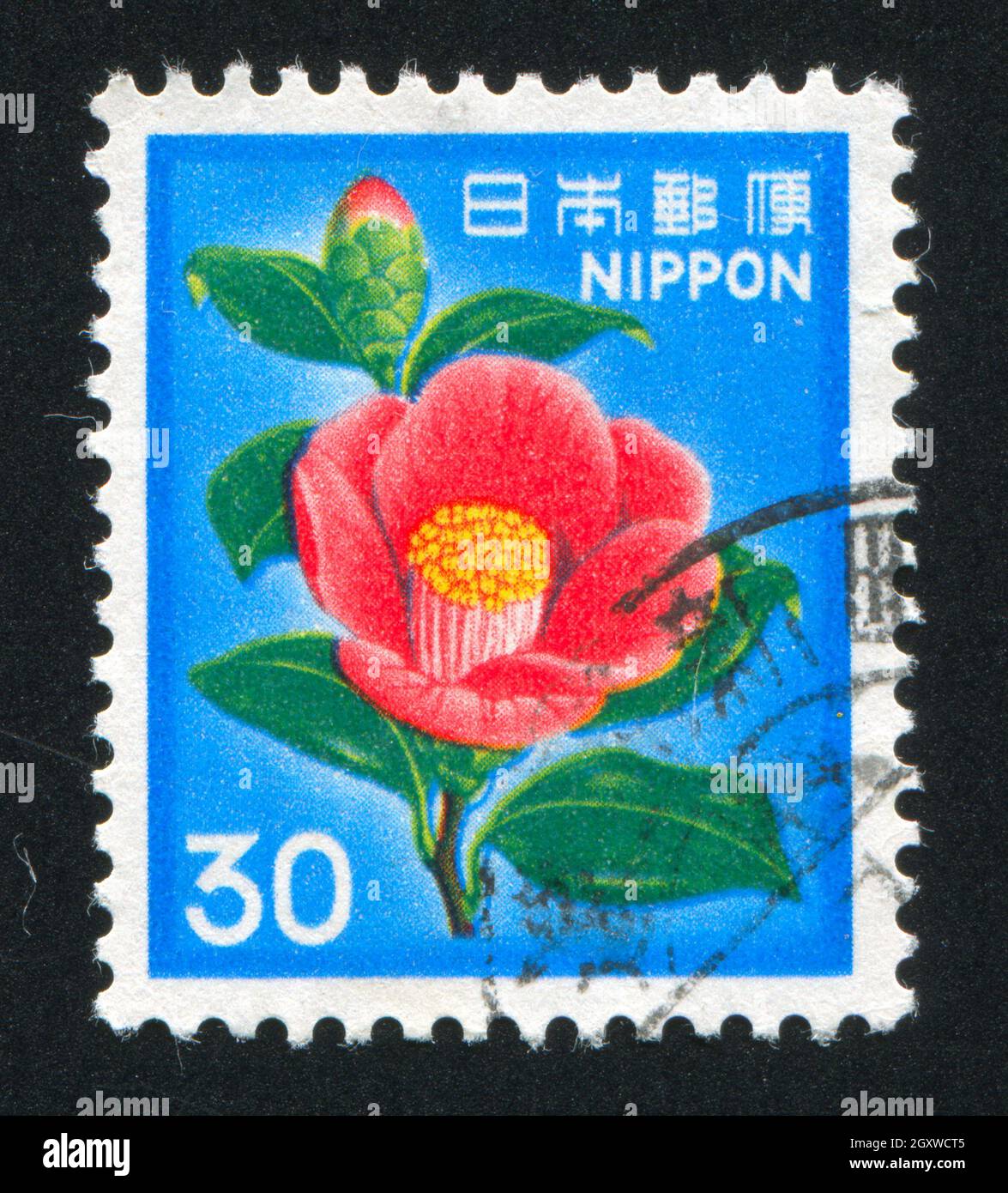 JAPON - VERS 1980: Timbre imprimé par le Japon montre Camellia, vers 1980 Banque D'Images