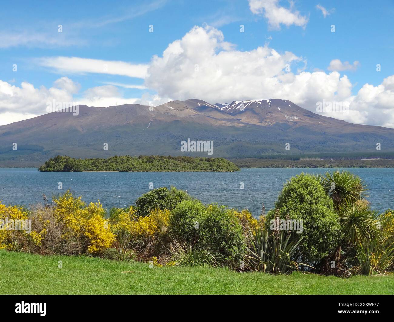 Impression ensoleillée autour du lac Rotopounamu sur l'île du Nord De la nouvelle-Zélande Banque D'Images