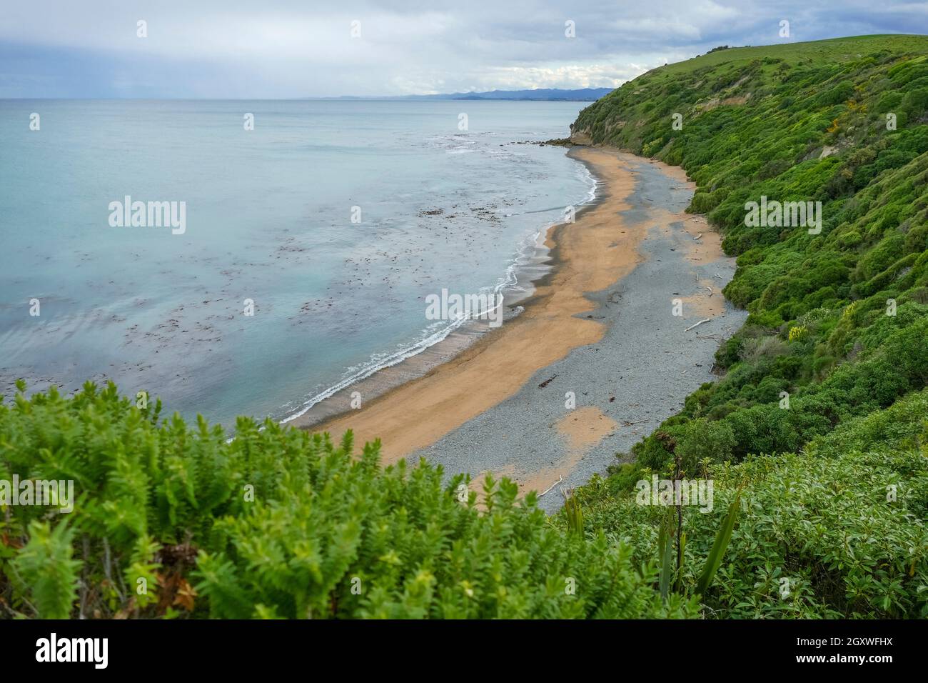 La secnerie de plage autour d'Oamaru à l'île du Sud de New Zélande Banque D'Images