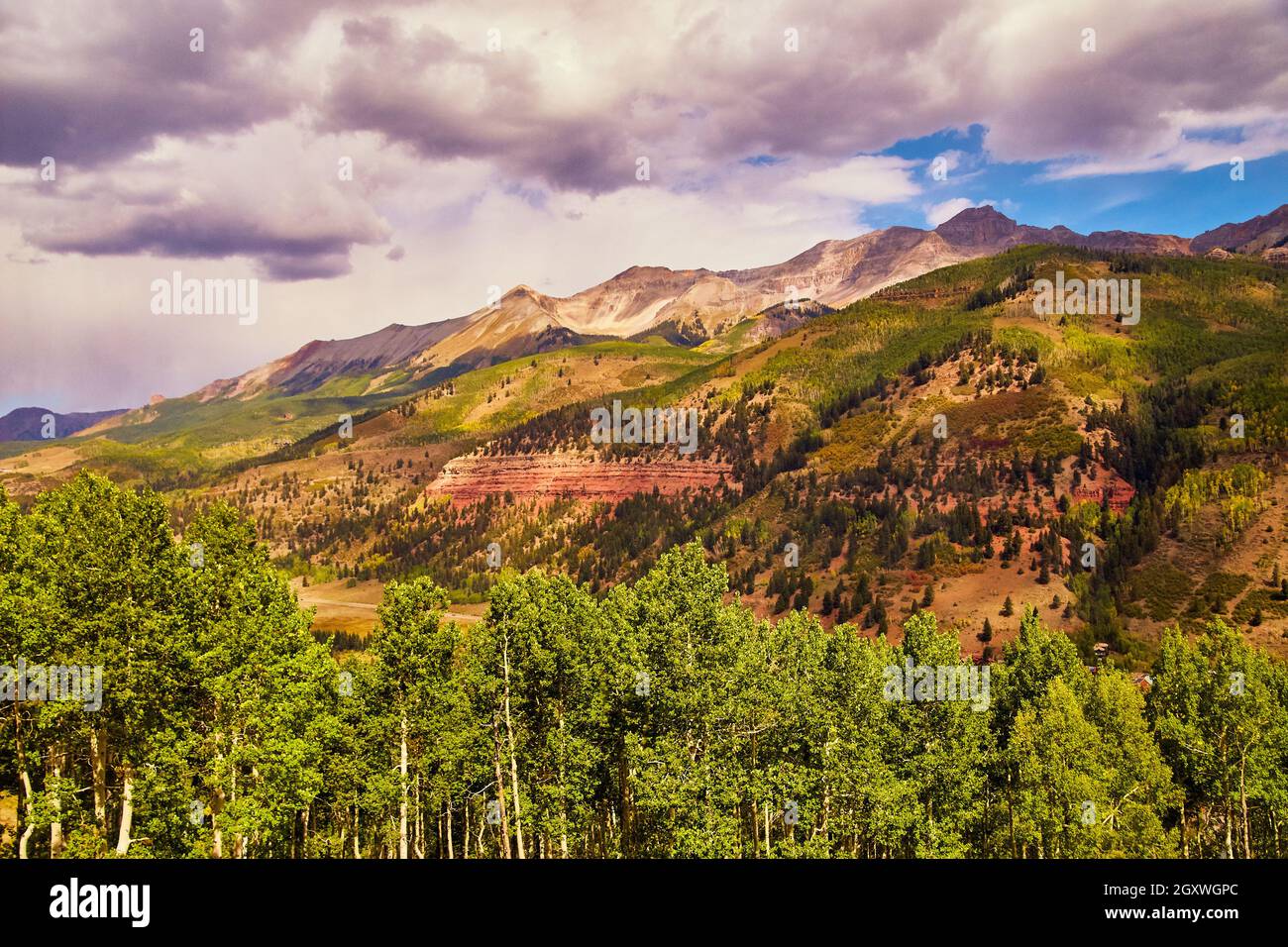 Forêt de tremble avec une grande chaîne de montagnes en arrière-plan et des nuages sombres Banque D'Images