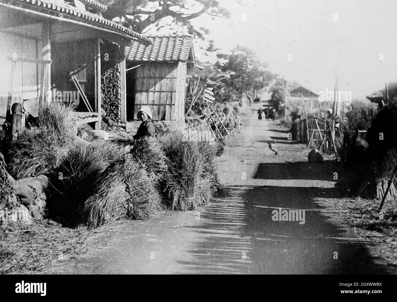 Heure de récolte, Japon, début 1900 Banque D'Images
