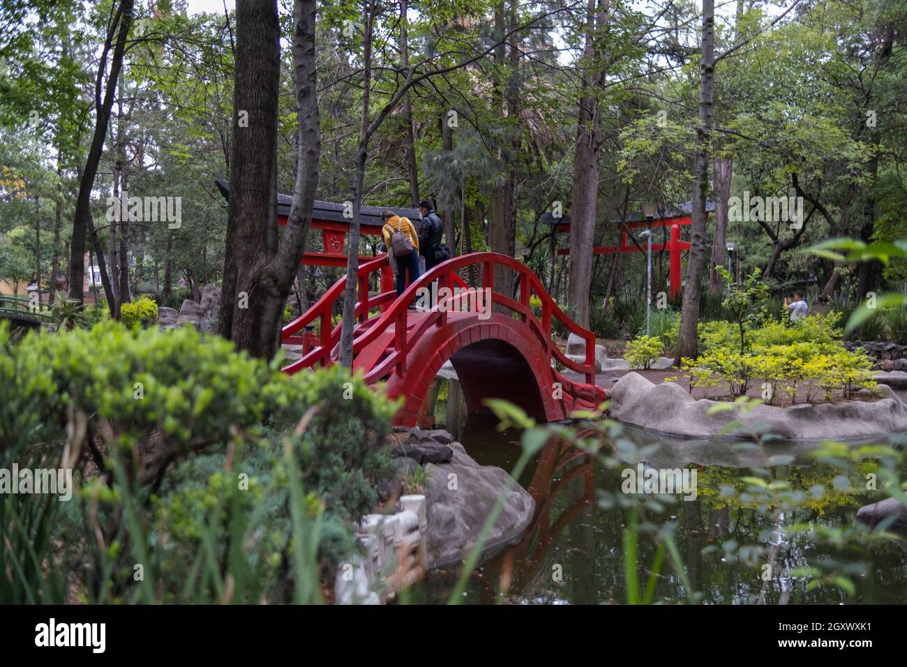 Pont japonais traditionnel et étang dans le parc Masayoshi Ohira Banque D'Images