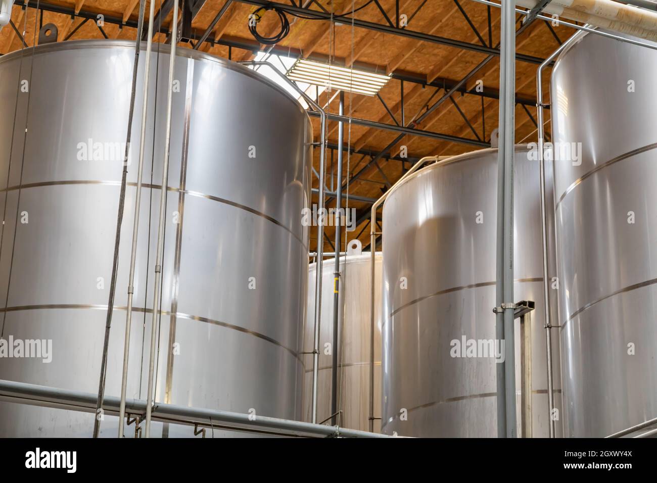 Grande bière brasserie cuves de fermentation dans l'entrepôt Banque D'Images