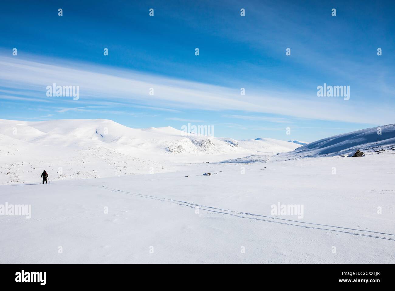 Vue arrière d'un homme ski, parc national de Dovrefjell, Norvège Banque D'Images