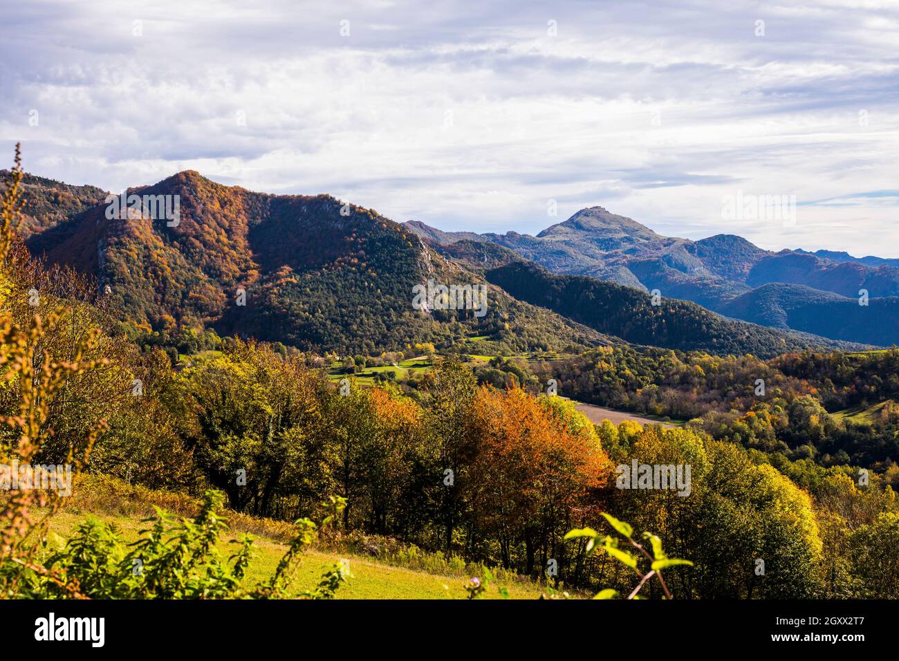 Paysage rural d'automne, Rocabruna, Alta Garrotxa, Gérone, Espagne Banque D'Images