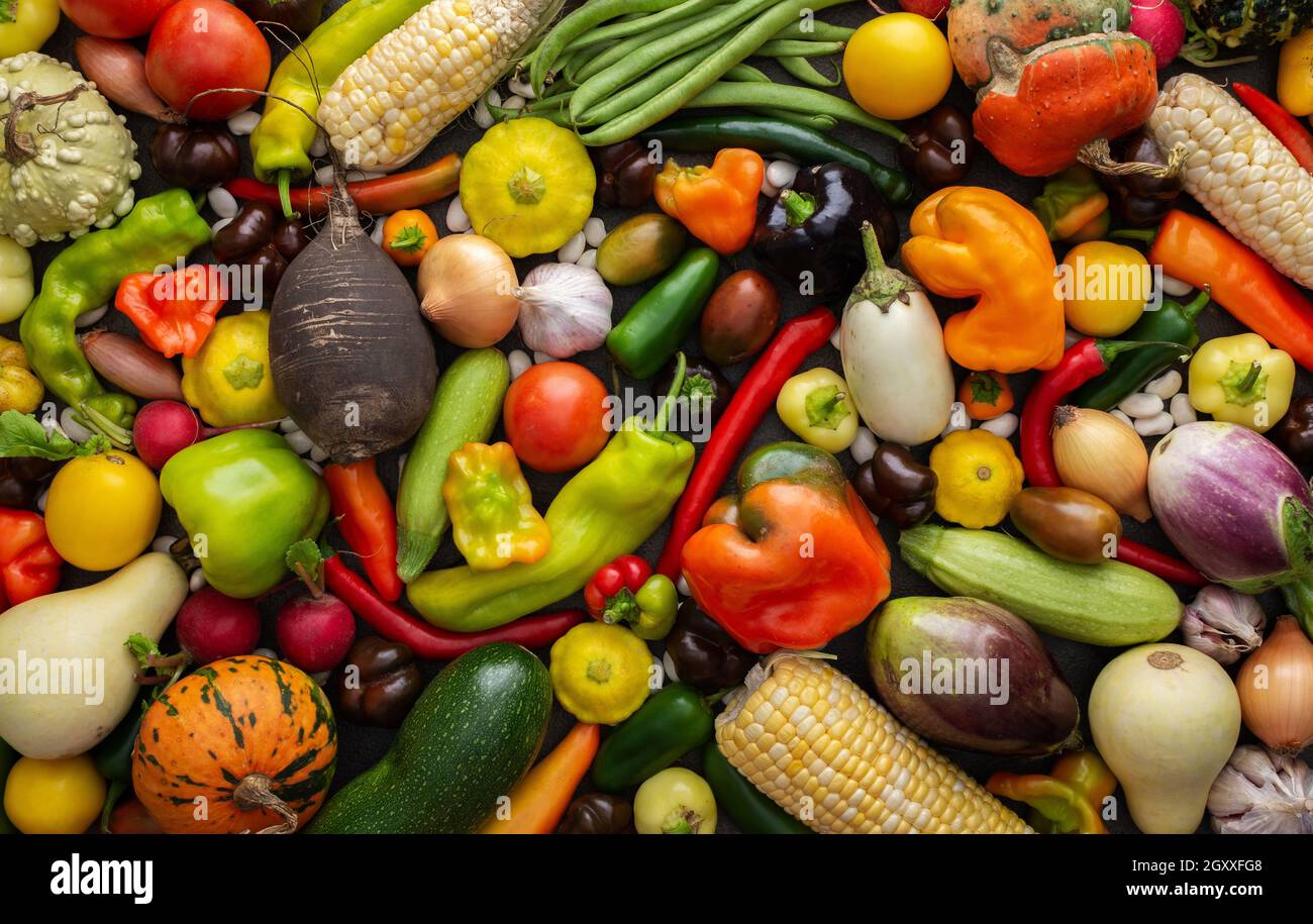 Arrière-plan avec légumes frais d'automne, produits biologiques sains de la ferme, vue de dessus Banque D'Images