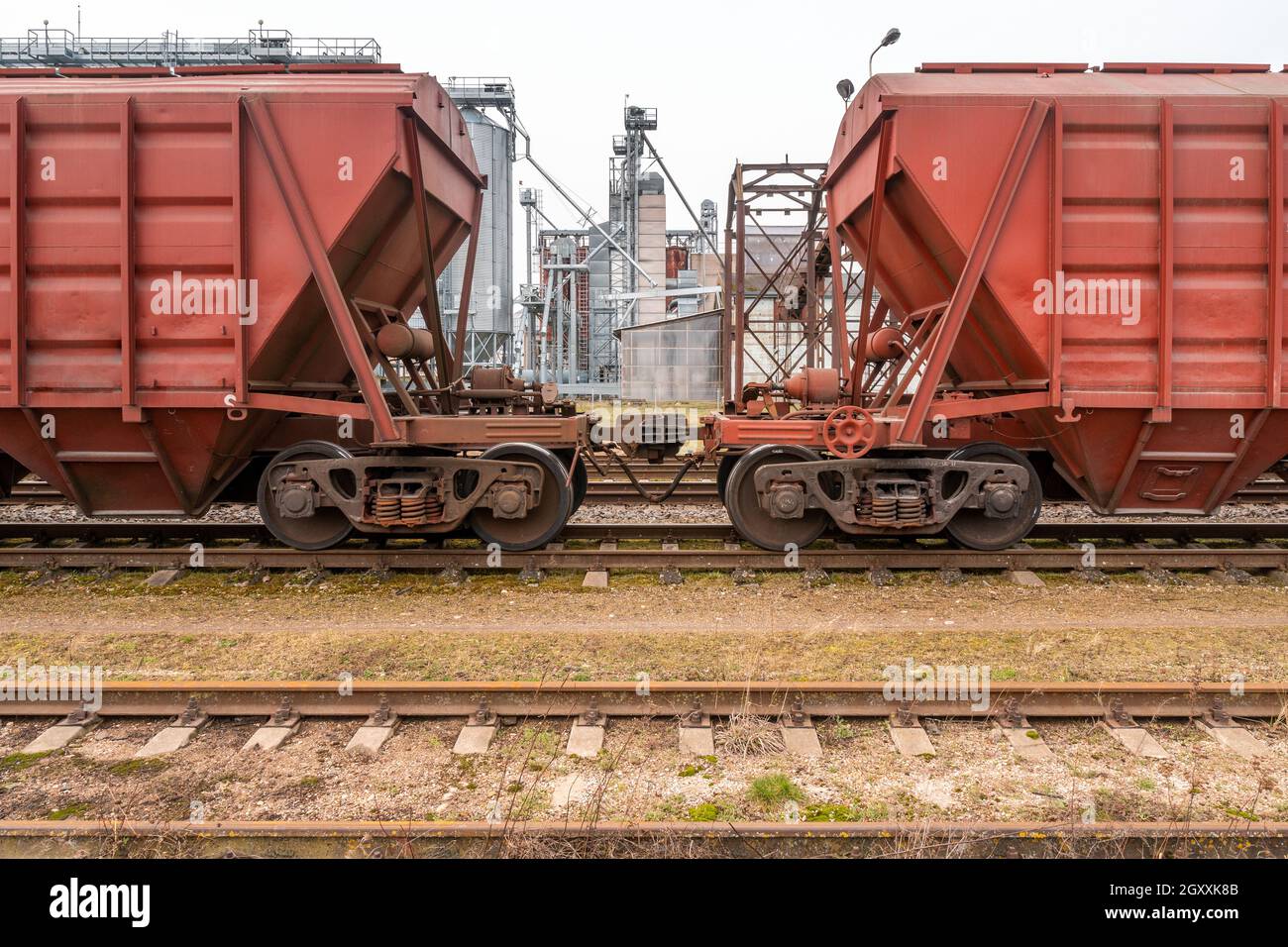 Vue du terminal de grain à travers les deux trains en vrac reliés entre eux. Wagons de chemin de fer pour le transport de grain. Banque D'Images