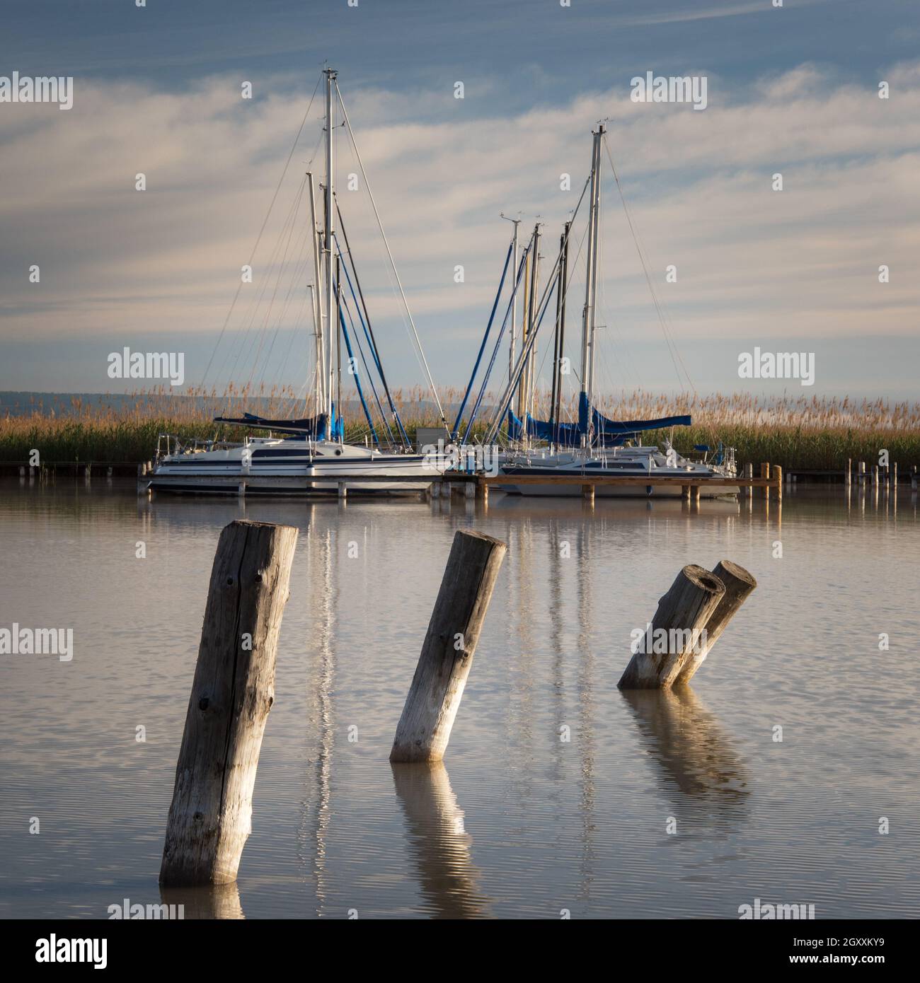 Port de plaisance avec bateaux à voile à de la ville de Rust sur le lac Neusiedl à Burgenland, un matin calme Banque D'Images