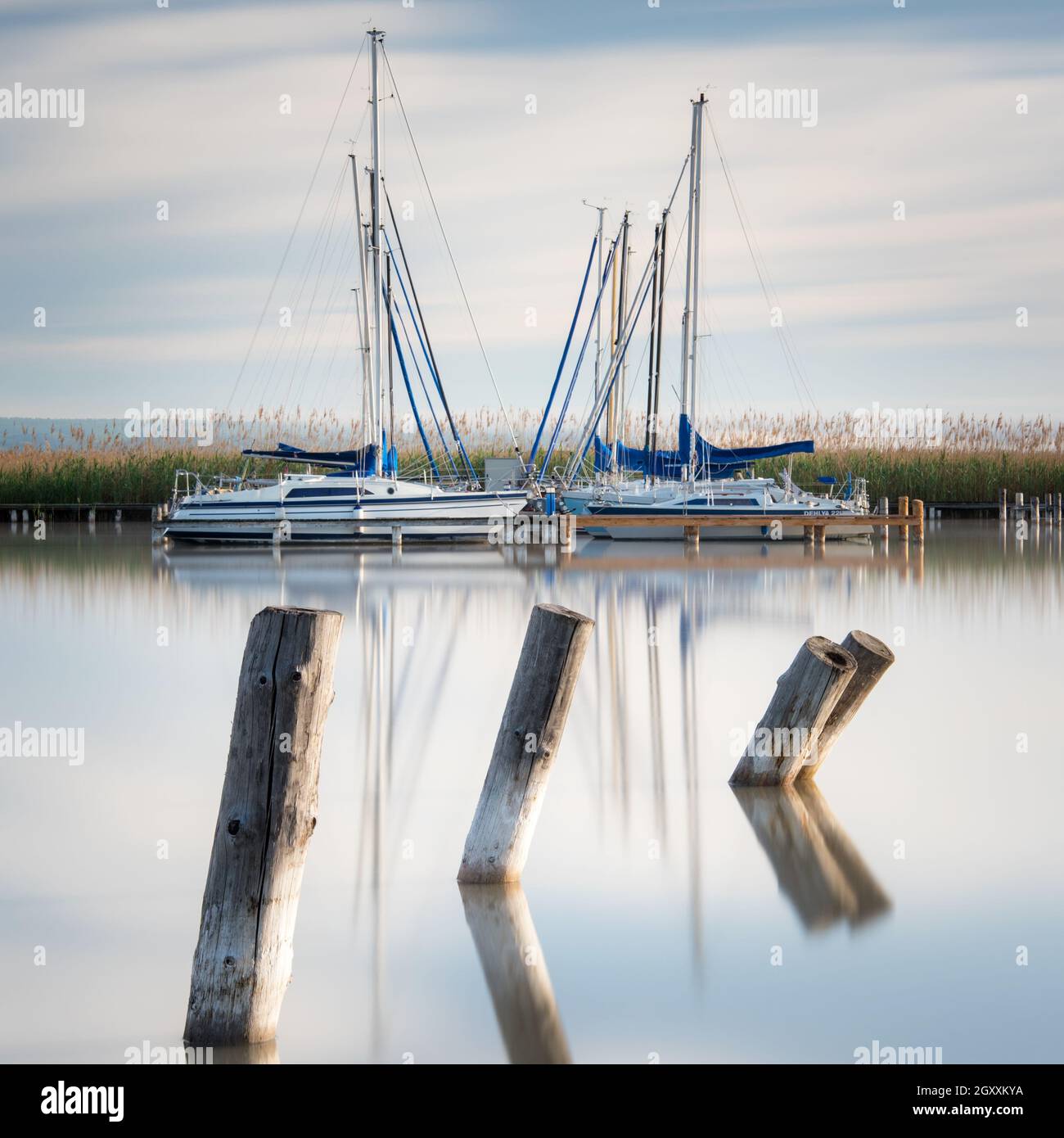 Port de plaisance avec bateaux à voile à de la ville de Rust sur le lac Neusiedl à Burgenland, un matin calme Banque D'Images
