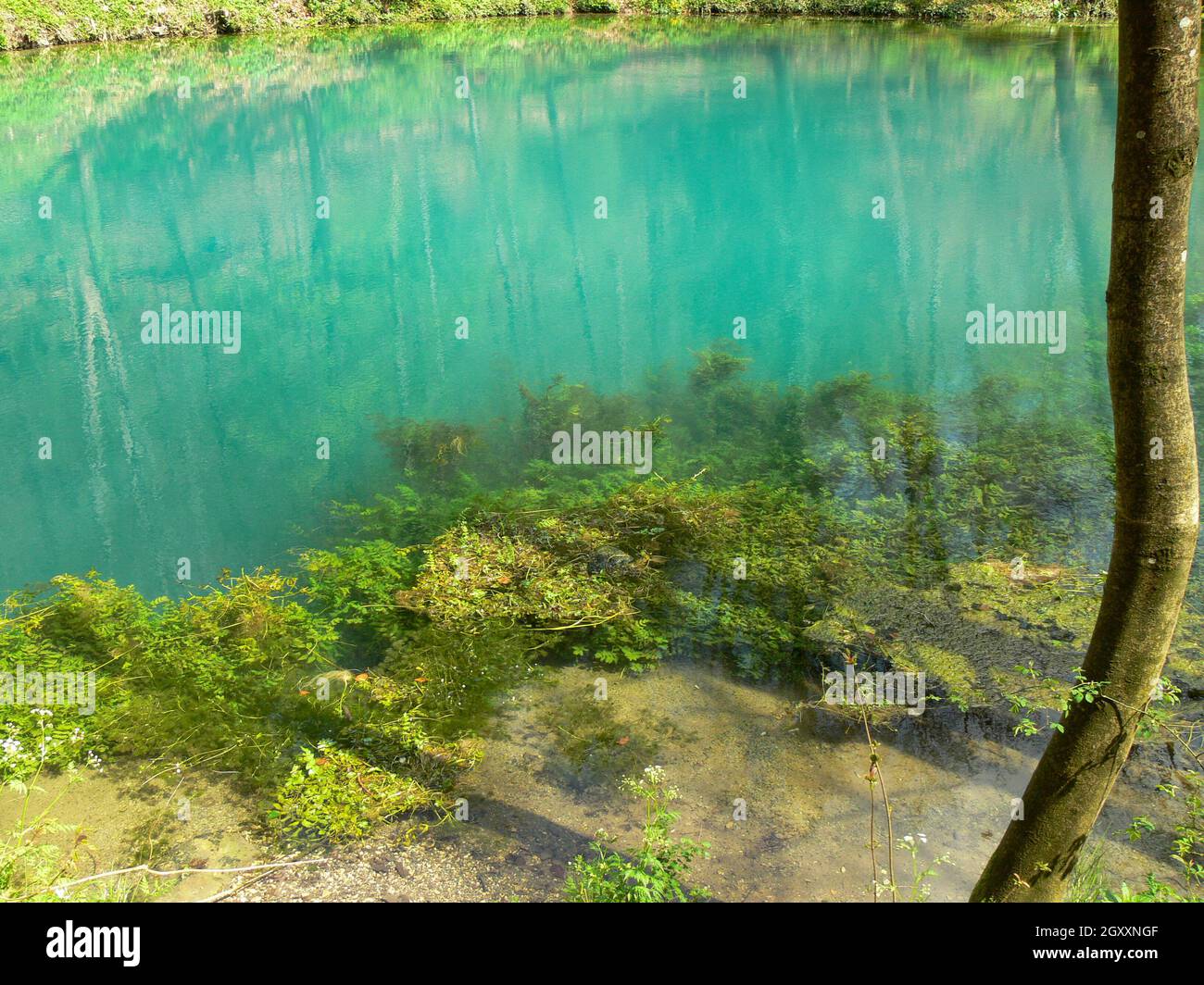 Le Blautopf à Blaubeuren dans le Bade-Wurtemberg est le deuxième plus riche printemps karstique en Allemagne Banque D'Images