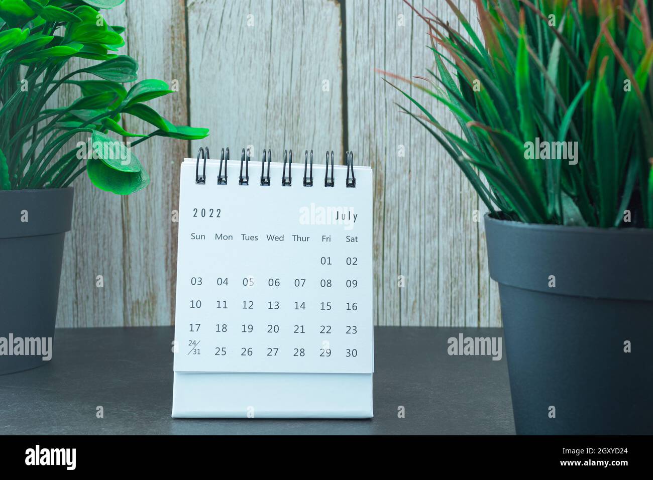 Calendrier blanc du 2022 juillet avec plante en pot.Concept du nouvel an 2022 Banque D'Images