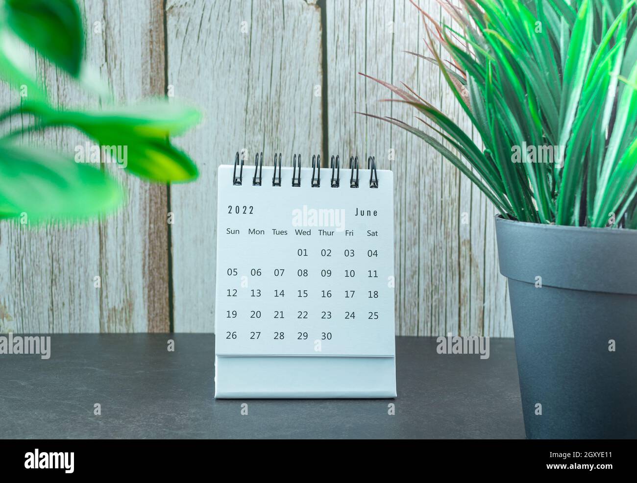 Calendrier blanc de juin 2022 avec plante en pot.Concept du nouvel an 2022 Banque D'Images