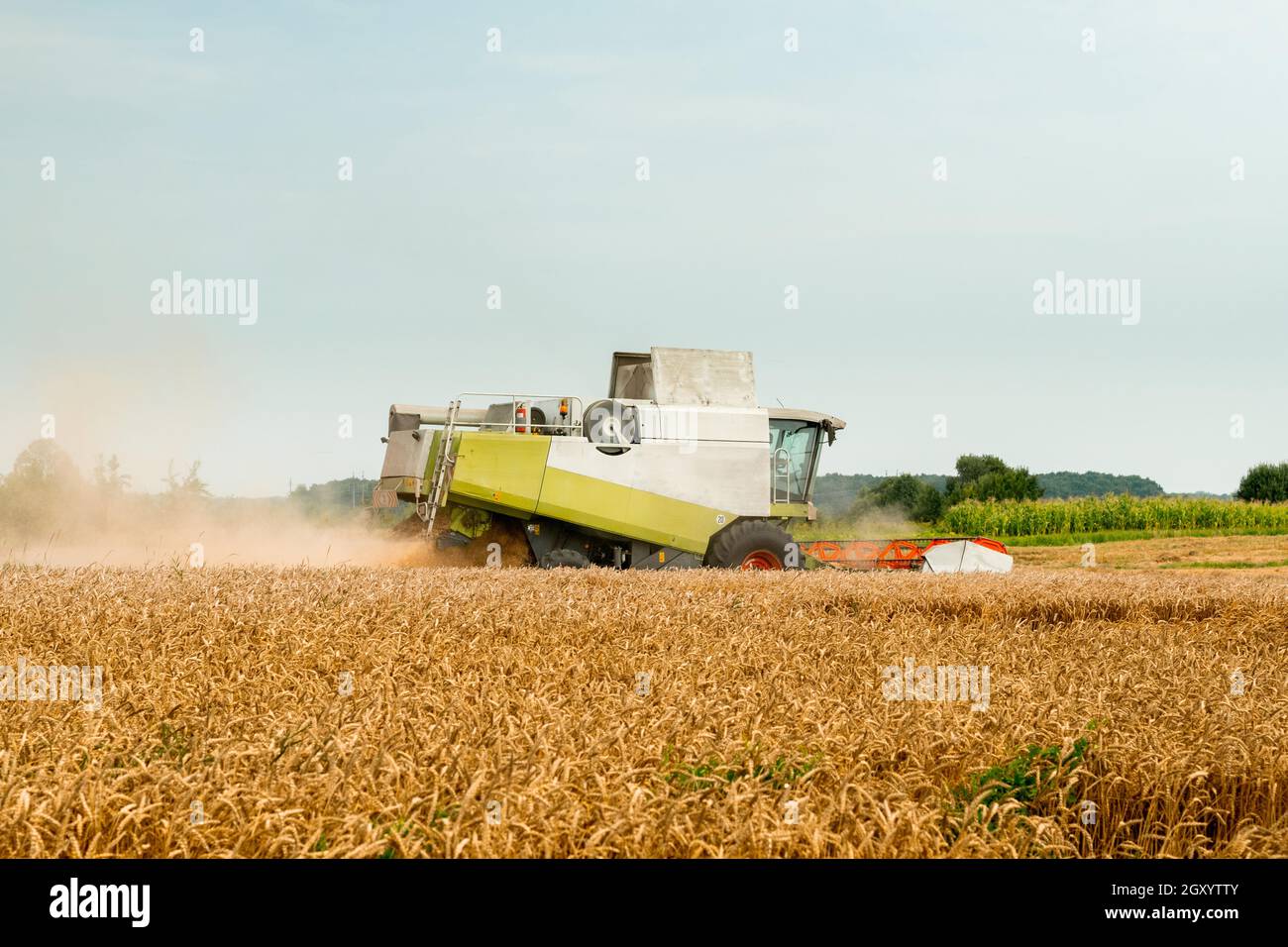 Moissonneuses-batteuses avec barre de coupe à grain, épandeur de menue paille large pour récolter les épis de céréales.Le secoueur rotatif coupe et batte le grain de blé mûr.Récolte récoltant b Banque D'Images