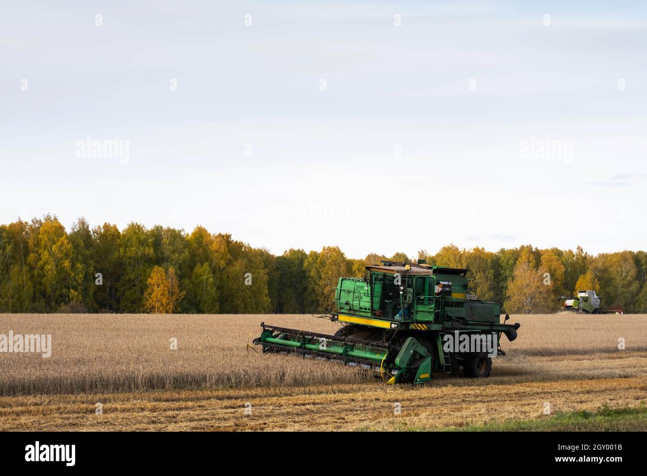 Kemerovo, Russie - 03 octobre 2021 : moissonneuse-batteuse travaillant dans un champ agricole.Concept de l'industrie agricole. Banque D'Images