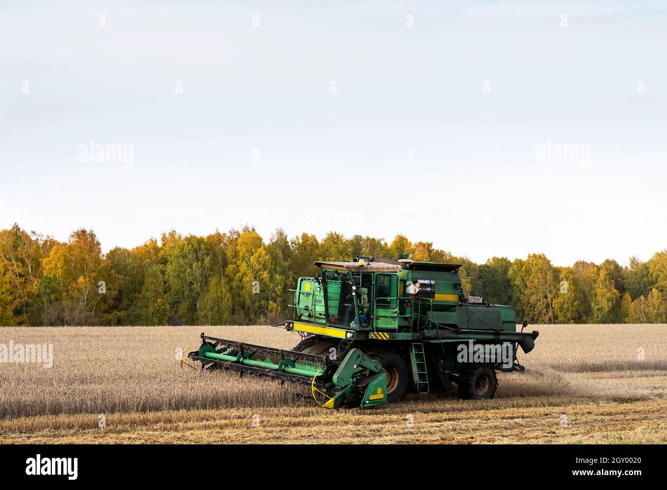 Kemerovo, Russie - 03 octobre 2021 : moissonneuse-batteuse travaillant dans un champ agricole.Concept de l'industrie agricole. Banque D'Images