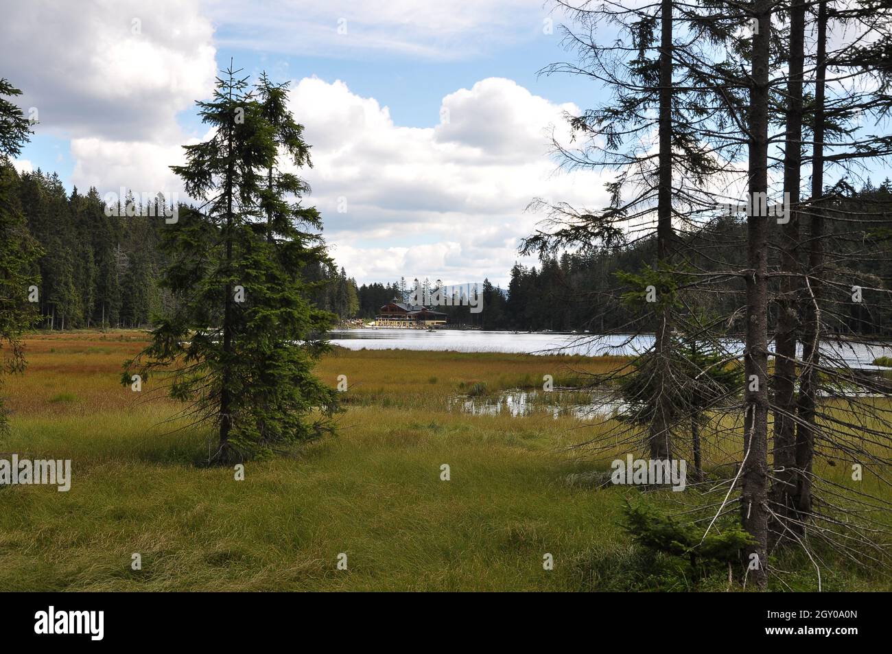 Vue sur le Großer Arbersee jusqu'à l'Arberseehaus Banque D'Images