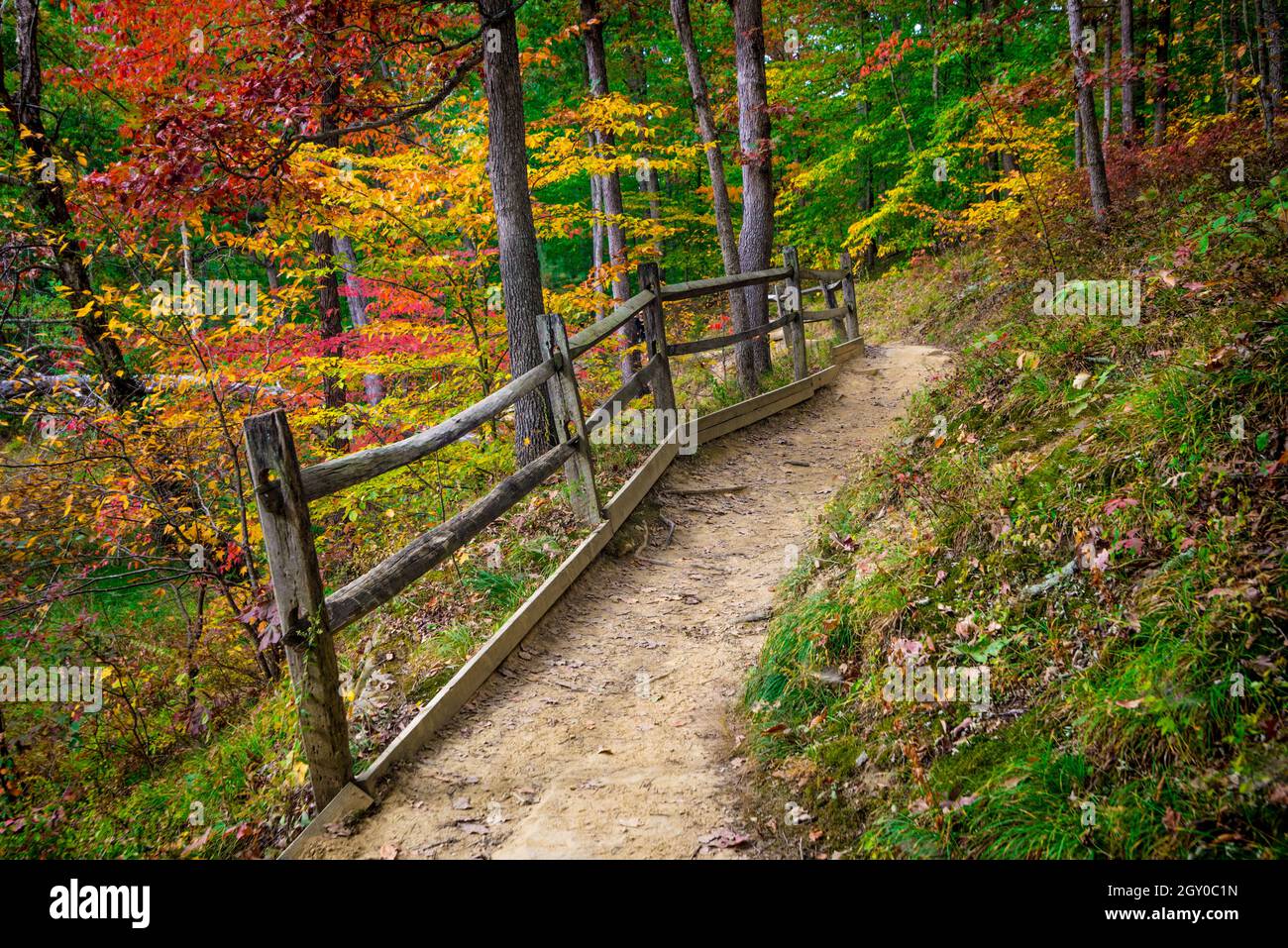 Couleur de l'automne - Lac Strahl - Parc d'État du comté de Brown - Indiana Banque D'Images