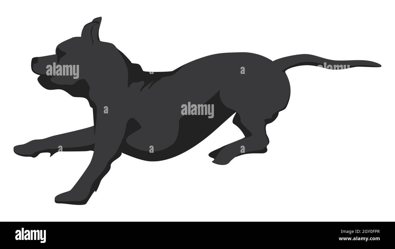 Silhouette running brindle Staffordshire terrier ou pitbull isolé sur blanc. Illustration vectorielle. Illustration de Vecteur