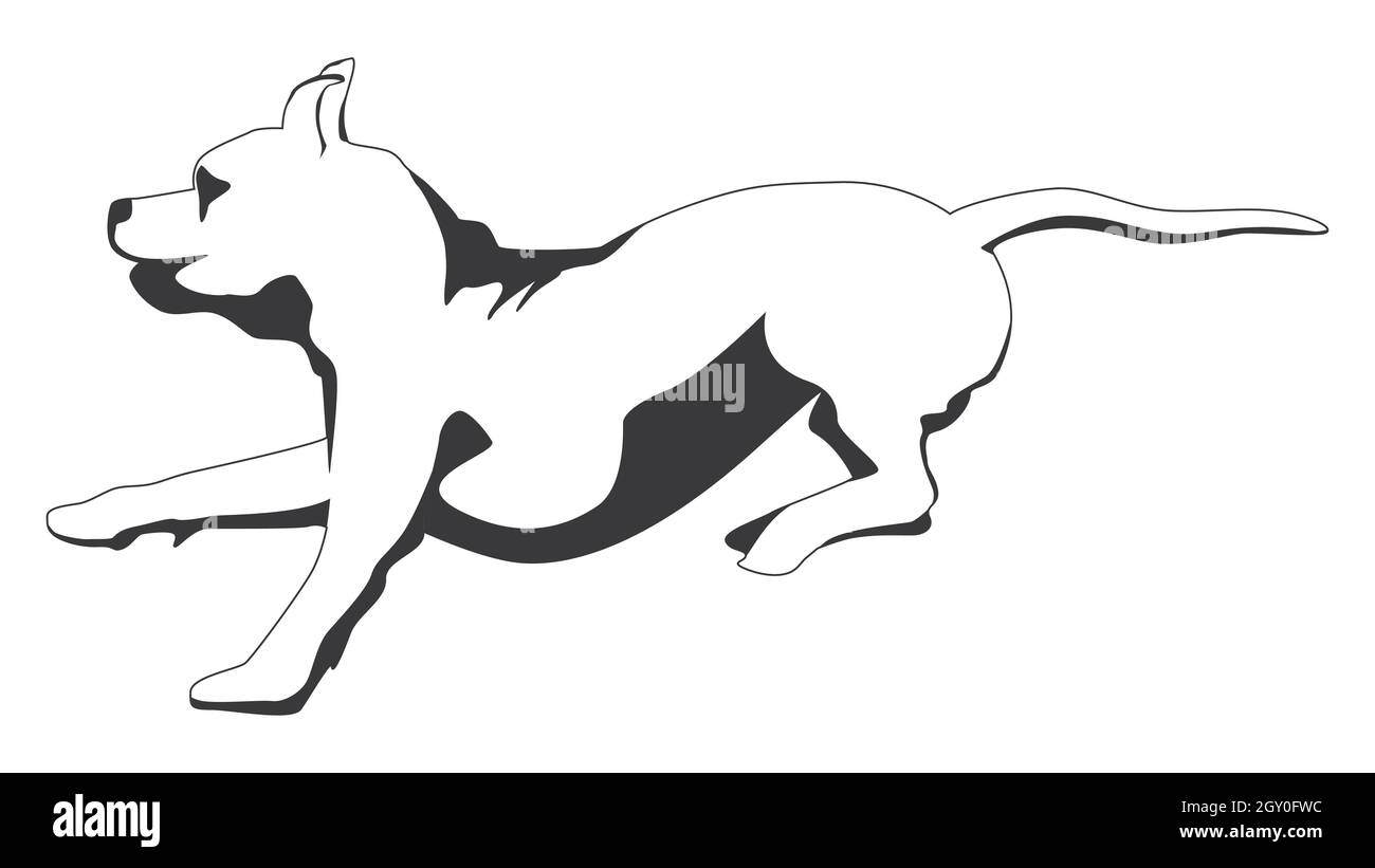 Outline running brindle Staffordshire terrier ou pitbull isolé sur blanc. Illustration vectorielle. Illustration de Vecteur