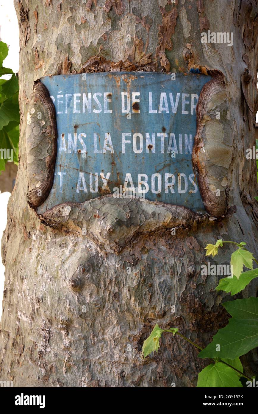 Panneau ancien métal interdisant le lavage dans la fontaine du village incorporée ou alimentée en eau dans la croissance secondaire de l'arbre d'avion Trunk Flayosc Var Provence France Banque D'Images