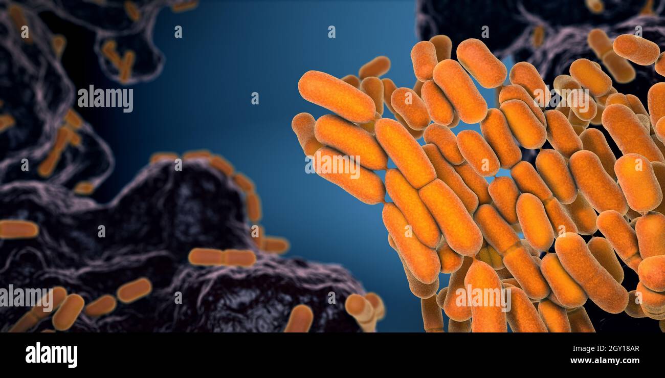 Bactéries Escherichia coli de couleur jaune trouvées dans l'intestin et les fèces - illustration 3d Banque D'Images