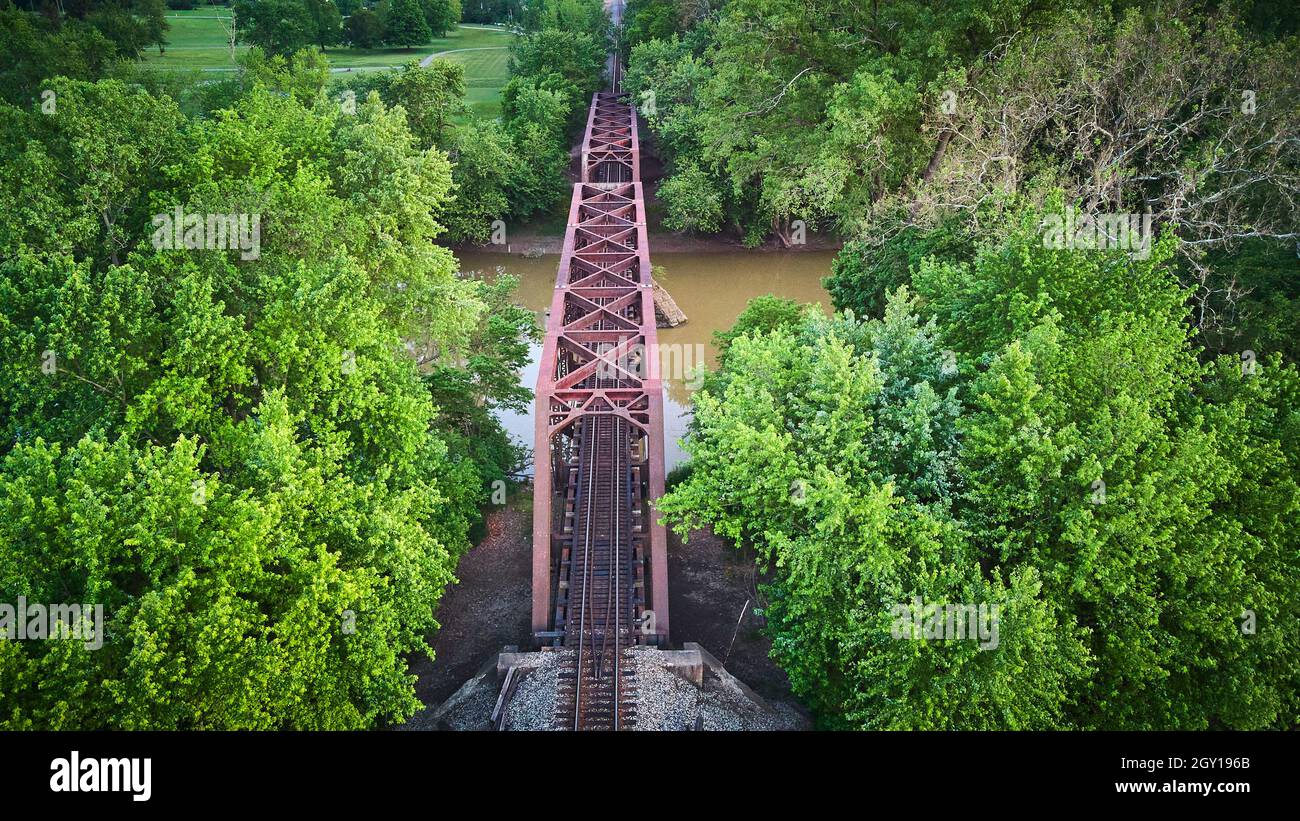 Antenne de pont en métal violet pour les voies de train au-dessus de la rivière brune avec des arbres verts Banque D'Images