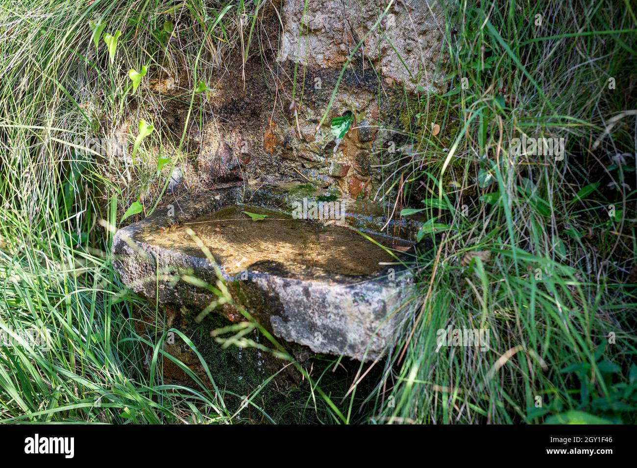 Petite fontaine perdue dans la montagne dans le sud de la France.Une source fournit de l'eau à un petit bassin en pierre. Banque D'Images