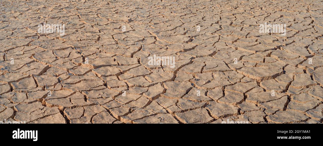 Panorama sur la boue brune fissurée, texture de surface des terres arides Banque D'Images