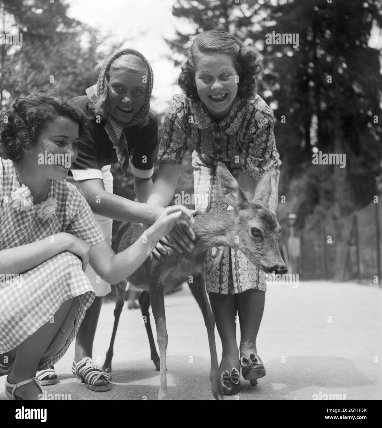 Drei junge Frauen mit einem Rehkitz im Wilhlema Tierpark à Stuttgart, Deutschland 1930er Jahre. Trois jeunes femmes avec un faon au jardin zoologique Wilhelma à Stuttgart, Allemagne 1930. Banque D'Images