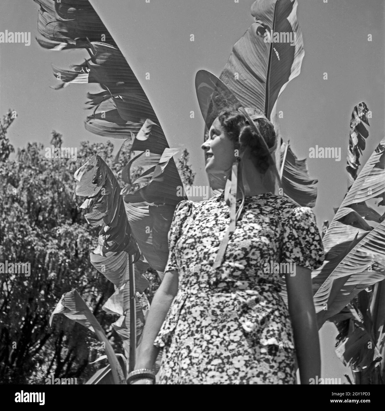 Eine junge Frau posiert vor einer Palme dans un parc, Deutschland 1930 er Jahre. Une jeune femme posant devant un palmier dans un parc public, l'Allemagne des années 1930. Banque D'Images